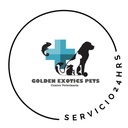 Cómo Detectar y Prevenir Enfermedades Comunes en Mascotas